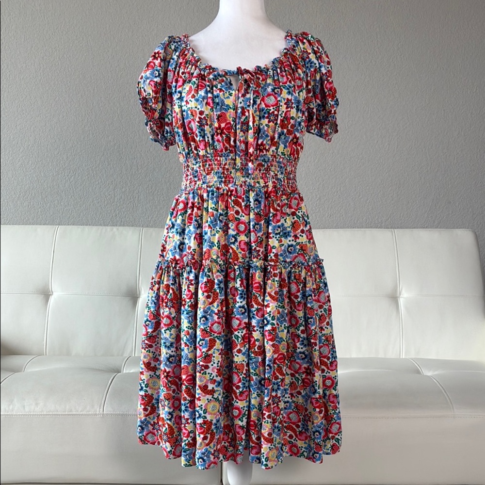 J. Crew Lady Bug Strawberry Farmers Market Red and Blue Floral Midi Dress